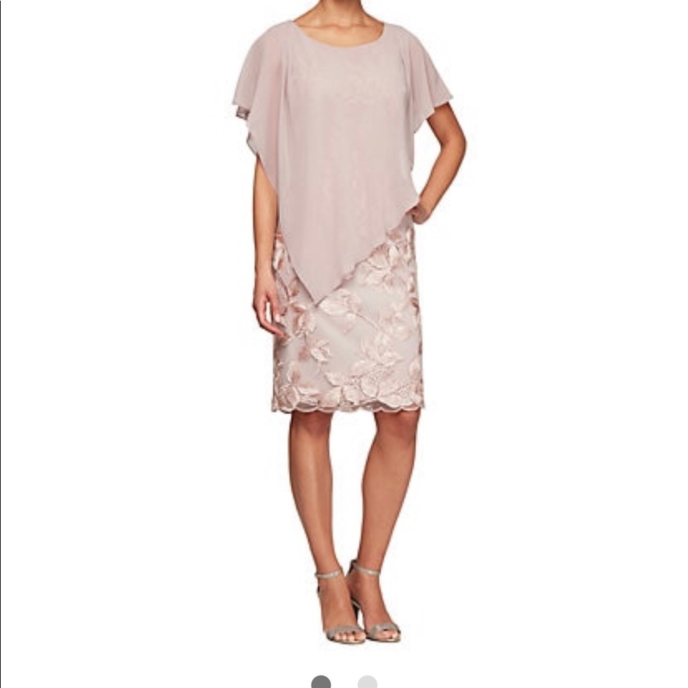 Alex Evenings blush chiffon mother of bride gown